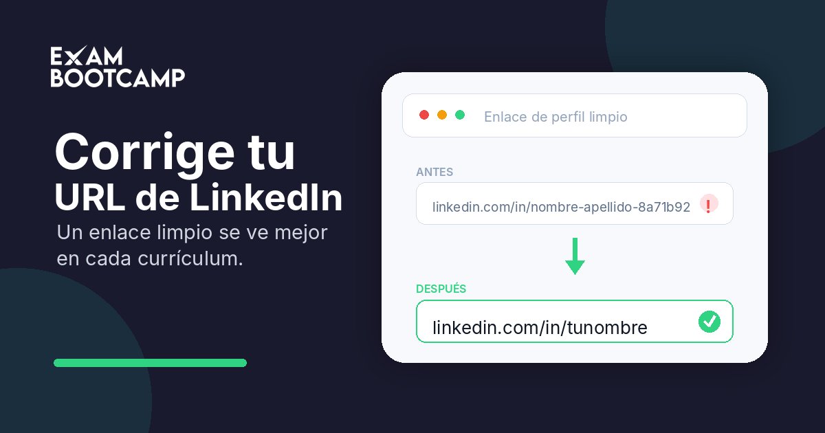 El Error de URL de LinkedIn en Casi Todo Currículum